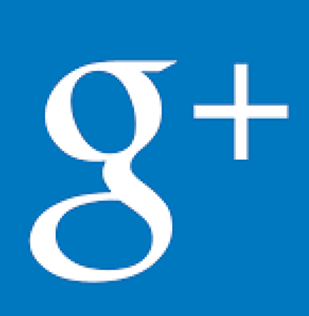 Google+ icon